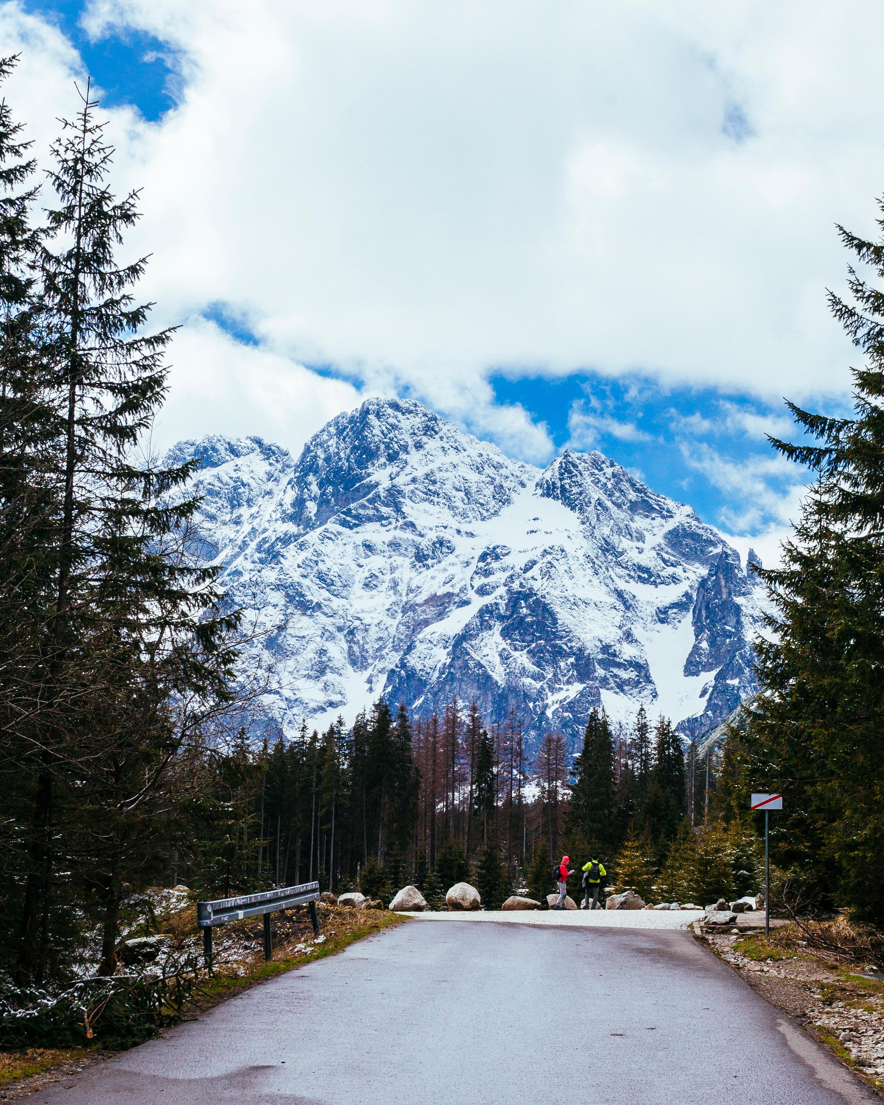 The Crown of India: A 2026 Soul-Traveler’s Guide to Jammu & Kashmir